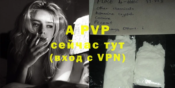 шишки Арсеньев