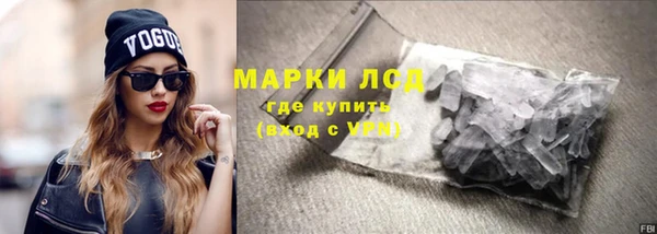 шишки Арсеньев
