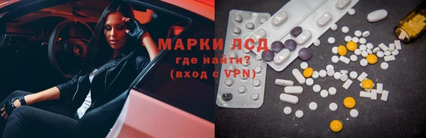 сатива Аркадак