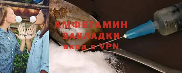 сатива Аркадак