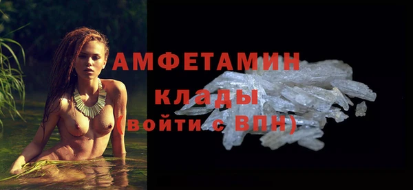сатива Аркадак