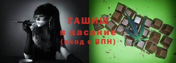 шишки Арсеньев