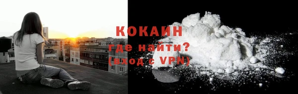 сатива Аркадак
