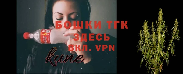 сатива Аркадак