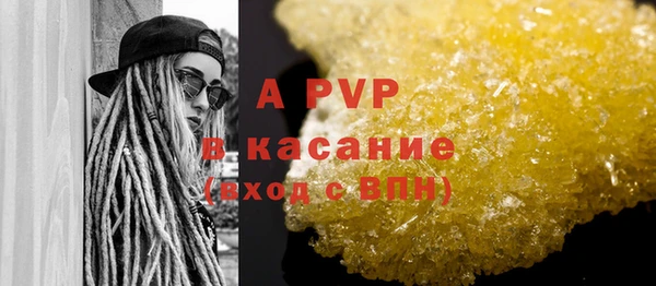 сатива Аркадак