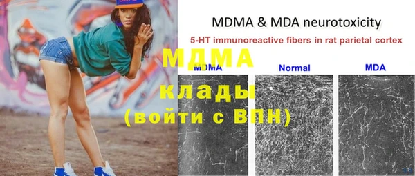 сатива Аркадак