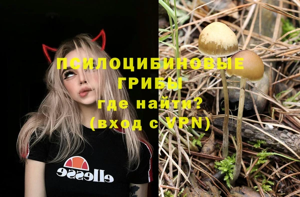 сатива Аркадак
