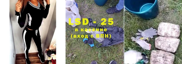 сатива Аркадак
